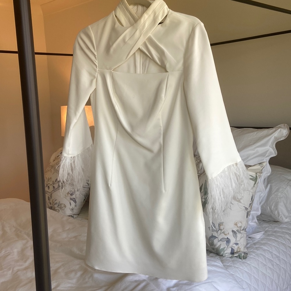 Aidan Mattox long sleeve mini dress